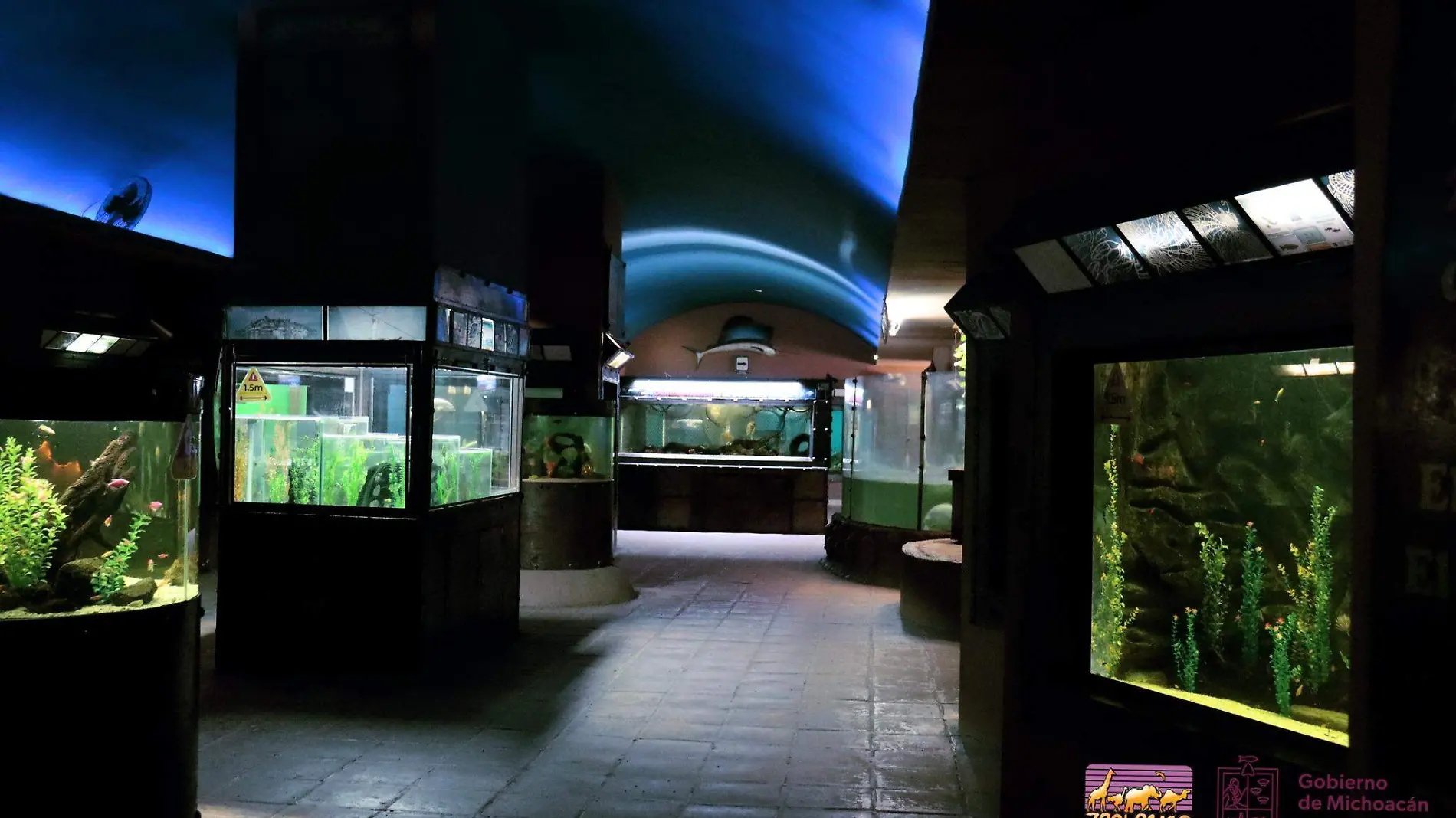 Acuario del zoológico de Morelia